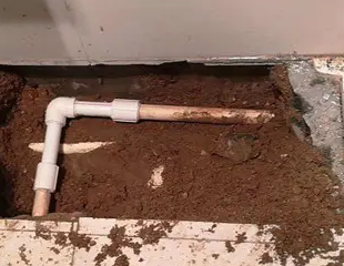 塔城地测漏水哪家好