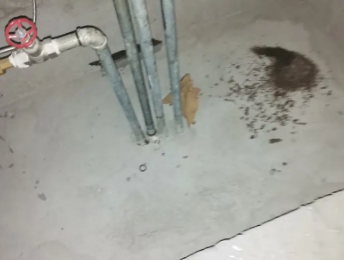 塔城地卫生间测漏水价格明细