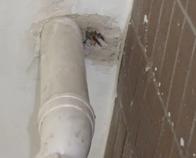 塔城地漏水检测哪家好